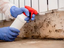 Asbestos and Lead Testing During Mold Inspection in Thermal, CA